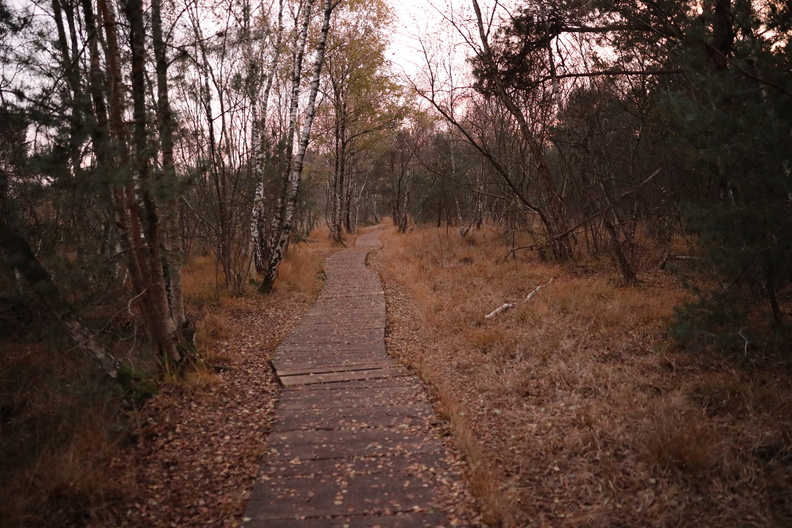 20191115 Venner Moor